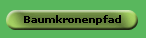 Baumkronenpfad