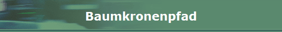 Baumkronenpfad