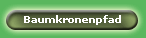 Baumkronenpfad
