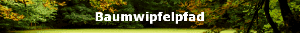 Baumwipfelpad