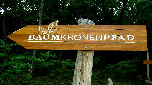 Baumkronenpfad Fotos