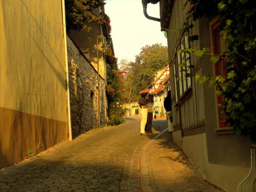 Bilder Bad Langensalza