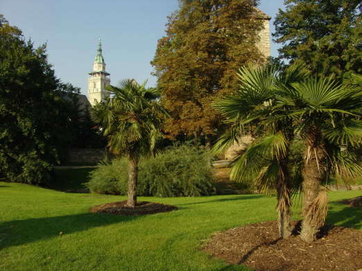 Bilder Bad Langensalza