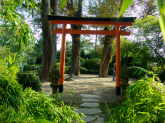 Japanischer Garten