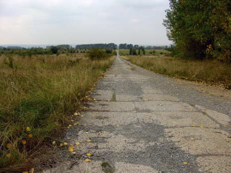 Bilder Baumkronenpfad Hainisch