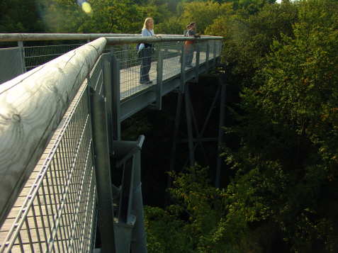 Bilder Baumkronenpfad Hainisch