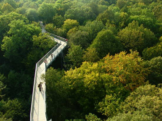 Bilder Baumkronenpfad Hainisch