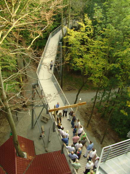 Bilder Baumkronenpfad Hainisch