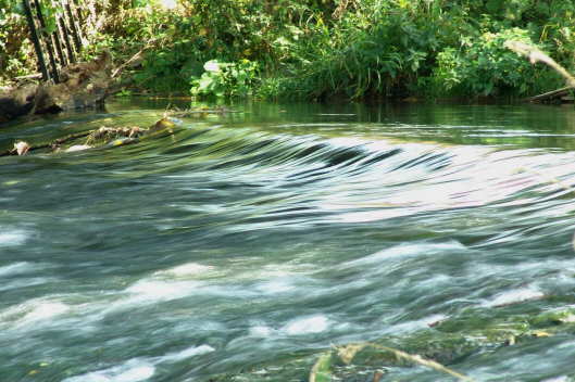 Bilder Baumkronenpfad Hainisch