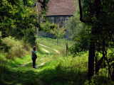 Bilder Baumkronenpfad Hainisch