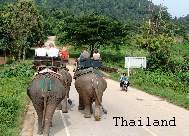 Fotos und Imressionen einer Rundreise durch Thailand