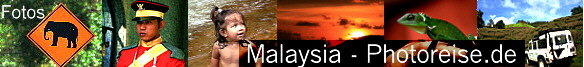 Bilder Malaysia Rundreise Fotos  Impressionen Bilder